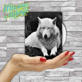 Прикольные кружки:  Animals 036 Волк 06